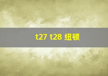 t27 t28 纽顿